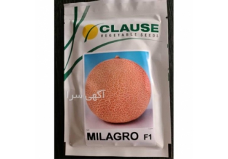 بذر ملون میلاگرو در یزد محصول بذر ملون میلاگرو از بهترین انتخاب