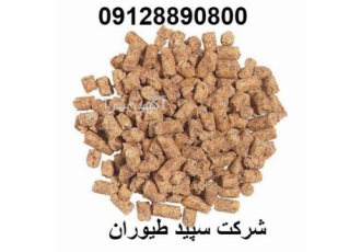 قیمت فروش دان برای بوقلمون