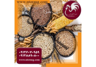 فروش دان مرغ دان درجه یک طیور در تهران فروش دان مرغ دان درجه یک طیور