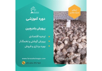 خدمات مشاوره و راه اندازی سایت پرورش بلدرچین در تهران قبل از راه اندازی