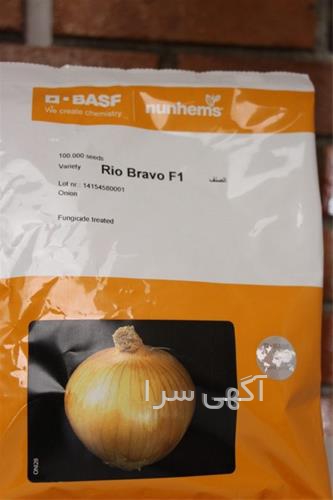 رنگ مو حنایی شرابی