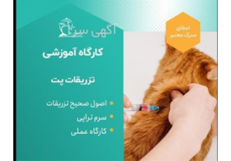 دوره آموزشی تزریقات پت کوچک ویژه کار در کلینیک در تهران این دوره