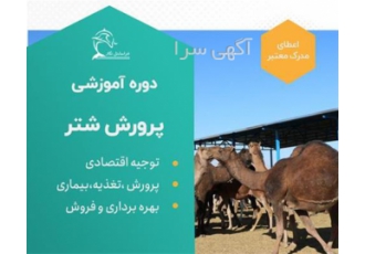 پرواربندی شتر با مدرک معتبر و پشتیبانی در تهران مدت زمان 12 ساعت آموزش