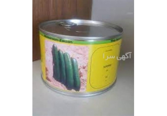 بذر خیار سوپرینا گریفاتون با کیفیت برتر و تضمینی
