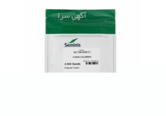 فروش بذر خیار ویکتور سمینیس بهترین و پر بار ترین