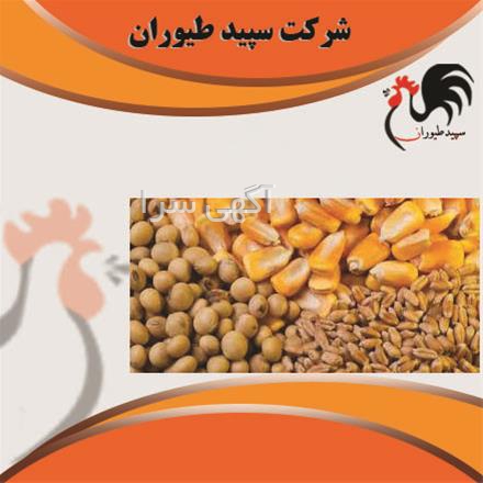 فاکتور فروش دام