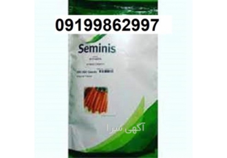 خرید بذر هویج سمینیس اصل در شیراز بذر هویج سمینیس محصول سمینیس امریکا
