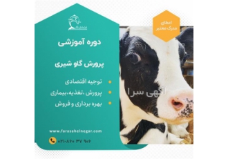 دوره آموزشی سیر تا پیاز پرورش گاو شیری دامداری در تهران یکی از عوامل
