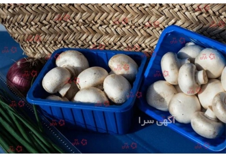 ظرف قارچ برای بسته بندی در ظرف 200 گرمی تا 1000 گرمی pp.ps