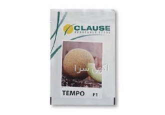 فروش ویژه بذر ملون تمپو با کیفیت تضمینی در بجنورد اگر به دنبال بهترین