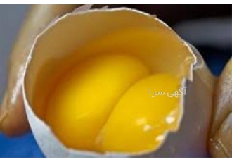 تخم مرغ دو زرده ارگانیک و طبیعی برای سلامت شما در کرمان تخم مرغ دو زرده