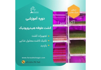 دوره آموزشی تولید علوفه هیدروپونیک در تهران مزایای علوفه هیدرو پونیک