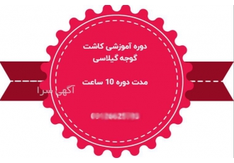 دوره تخصصی کشت گوجه فرنگی چری، از صفر تا صد