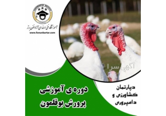 دوره آموزشی آنلاین پرورش بوقلمون در اصفهان چه واحد پرورش بوقلمون