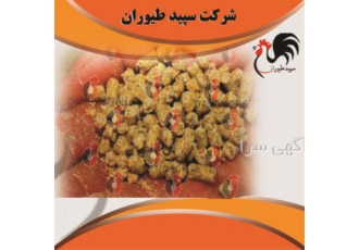 خرید و فروش خوراک مرغ تخم‌گذار بومی با بهترین قیمت