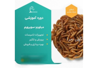 دوره های آموزشی پرورش میلورم و تولید لبنیات سنتی