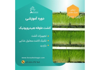 دوره علوفه هیدروپونیک با استفاده از روش هیدروپونیک
