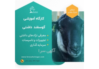 دوره آموزشی پرورش گوسفند داشتی ، تئوری و عملی