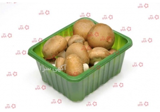 فروش ظرف قارچ در انواع مدل با وزن ۲۰۰ گرمی ۴۰۰ گرمی در زاهدان ساده ترین