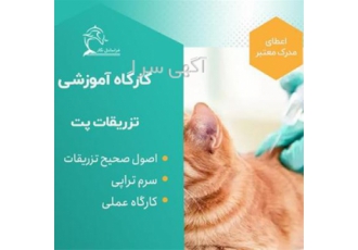 دوره آنلاین و حضوری آموزش تزریقات سگ و گربه در تهران به مدت 4 روز بخشی