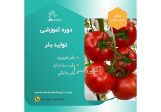 دوره آموزشی سرمایه گذاری کشاورزی دامپروری شیلات در تهران در این دوره