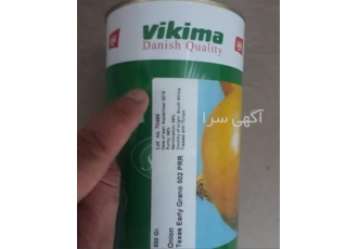 فروش استثنایی بذر پیاز هیبریدی ویکی - محصول باکیفیت و پرطرفدار