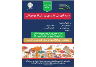 آموزش پرورش قارچ خوراکی در اصفهان امکان مشاوره تخصصی رایگان برای مهارت