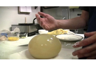 فروش و قیمت تخم نطفه دار شترمرغ