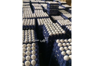 فروش تخم نطفه دار و خوراکی مرغ بومی - کارتنی