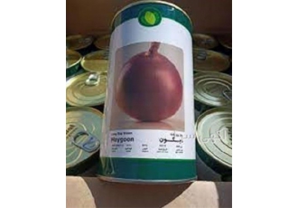 عرضه بذر پیاز میگون