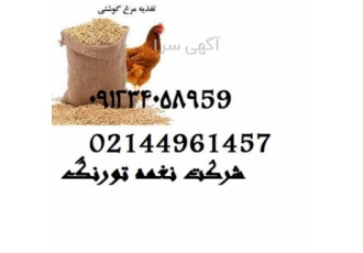 قیمت دان مرغ گوشتی - نغمه - طیور