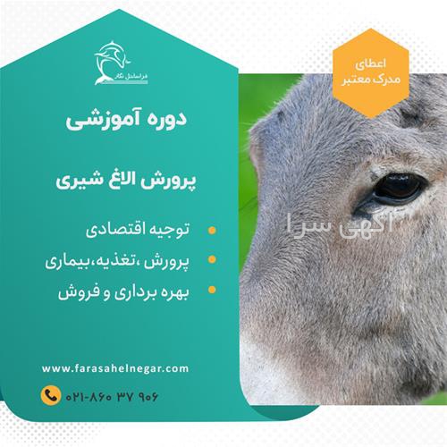 دستگاه ضدعفونی کننده شیشه شیر