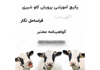 پکیج آموزشی پرورش گاو شیری با مدرک معتبر در تهران بسته های آموزشی پرورش