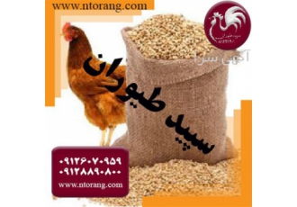 فروش دان مرغ تخم گذار کیفیت درجه یک. طیور