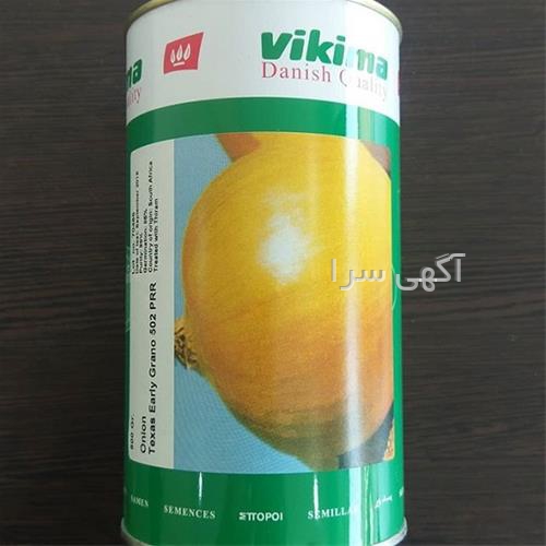 قیمت هر کیلو گردو دیجی کالا