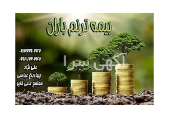 طرح ترنم بیمه باران نمایندگی علی نژاد کد 30032
