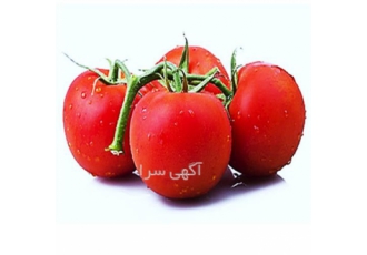 بذر گوجه فرنگی CLX ۳۸۱۲۲ کلوز در اسلامیه بذر گوجه فرنگی CLX 38122 یکی