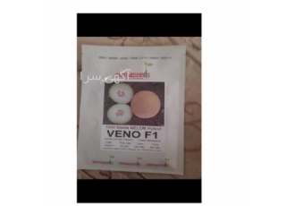 عرضه بذر ملون ونو با ضمانت اصل در تبریز بذر ملون ونو نوع رقم هیبرید تیپ