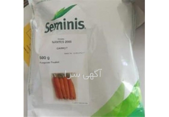 فروش بذر هویج نانتس 2000 فروش بذر هویج نانتس 2000