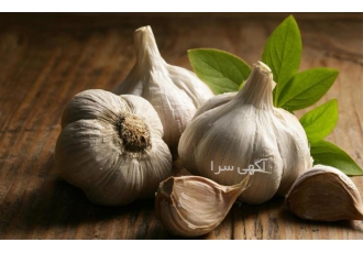 تولید تناژ عرق سیر سنتی ویژه مرغداری های سراسرکشور