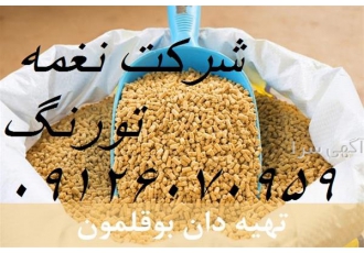 دان مخصوص بوقلمون در تهران دان مخصوص بوقلمون دان مخصوص بوقلمون تحت