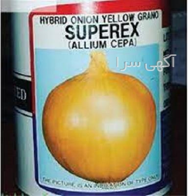 آگهی های بذر و نهال - رفسنجان