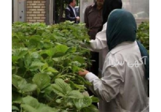 برگزاری دوره های اموزشی کشاورزی با بهترین شرایط