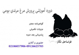 دوره آموزشی پرورش مرغ مرندی ، مرغ سیاه