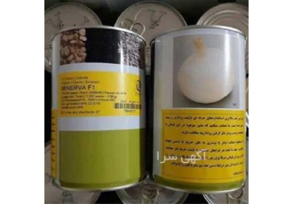 فروش و قیمت بذر پیاز مینروا در سیرجان مجموعه تجارت روز با ارایه بذر