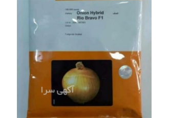 پخش عمده بذر پیاز ریوبراوو
