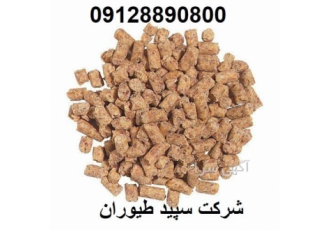 قیمت فروش خوراک بوقلمون دان بوقلمون پلت بوقلمون در تهران قیمت فروش
