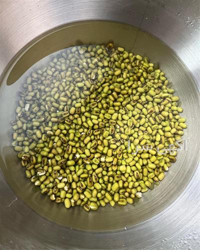 خرید بذر آفتابگردان