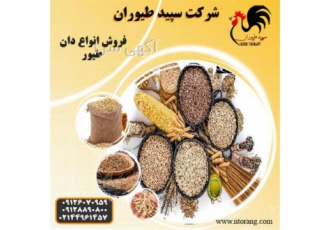 فروش انواع دان طیور و خوراک طیور // طیور