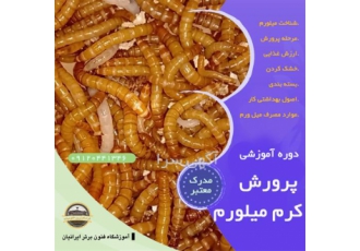 دوره آموزش پرورش کرم میل ورم در اصفهان دوره آموزشی پرورش کرم میل ورم